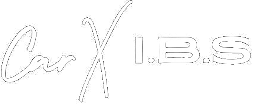 X I.B.S カークロスアイビーエス